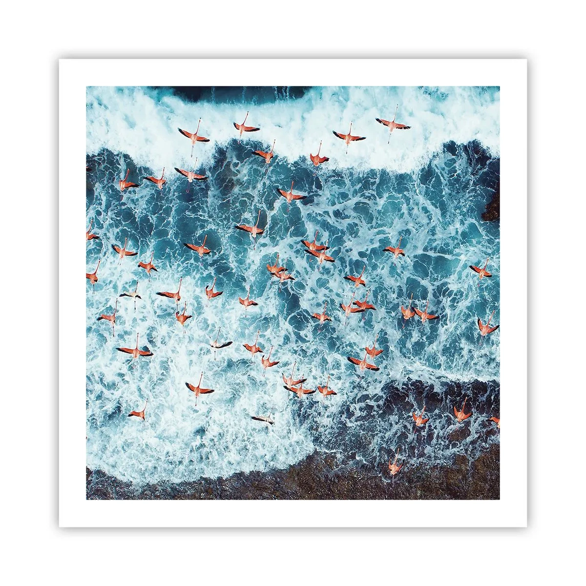 Poster - Parada de la malul mării - 60x60 cm