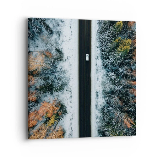Tablou pe pânză - Prin pădurea de iarnă - 40x40 cm