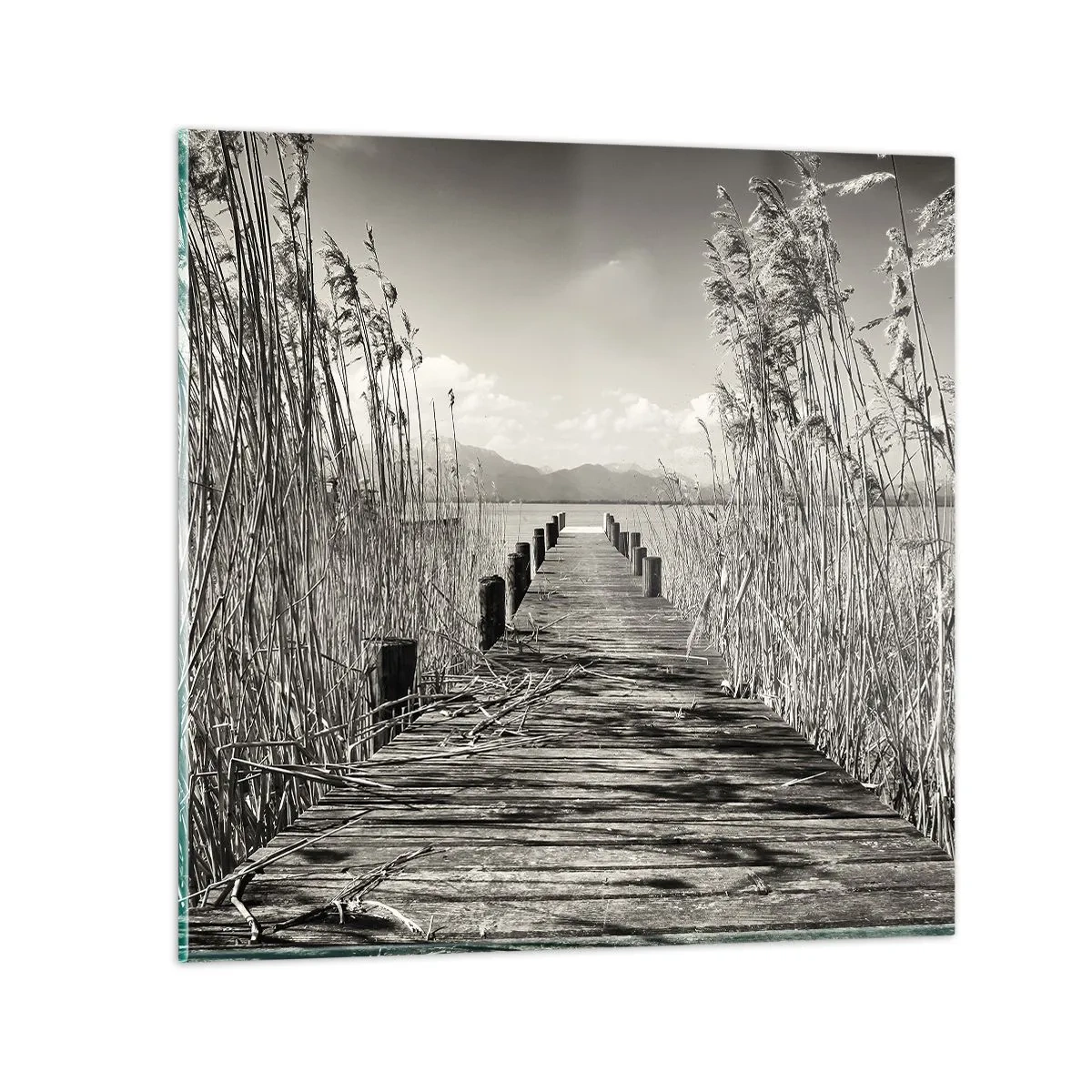 Tablou pe sticlă - În intimitatea ierburilor - 50x50 cm