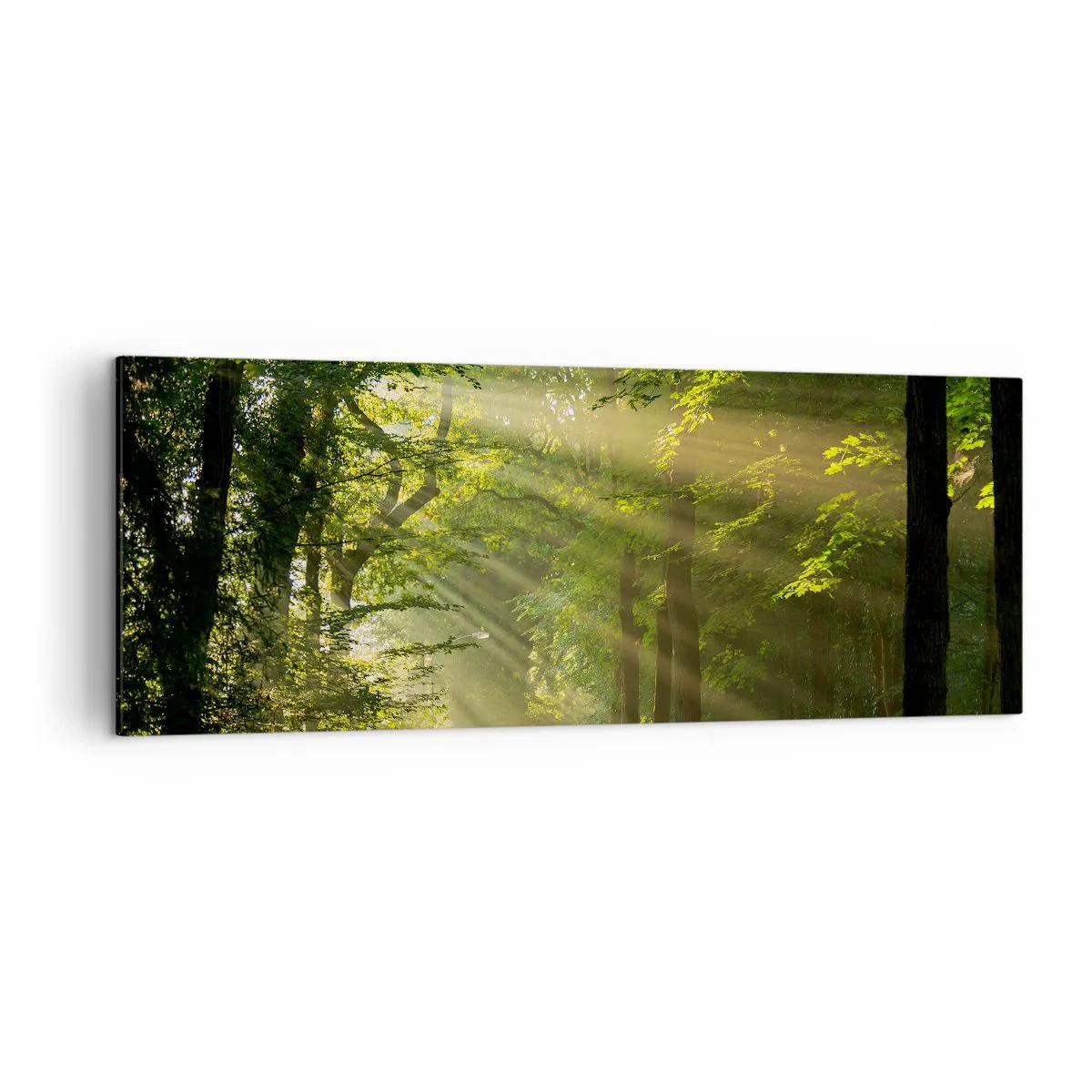 Tablou pe pânză - Moment de pădure - 140x50 cm