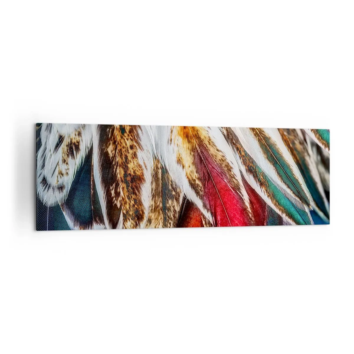 Tablou pe pânză - Secretele zborului - 160x50 cm