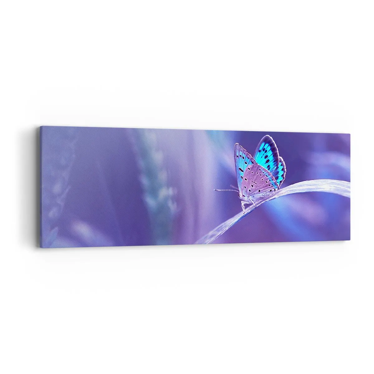 Tablou pe pânză - O bijuterie a naturii - 90x30 cm