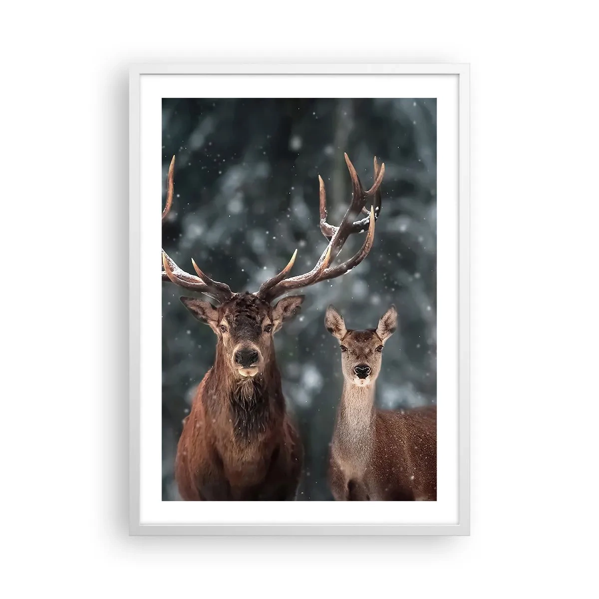 Poster în ramă albă - Stăpânul pădurii și soția sa - 50x70 cm