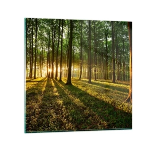 Tablou pe sticlă - Fotografia tuturor primăverilor - 30x30 cm