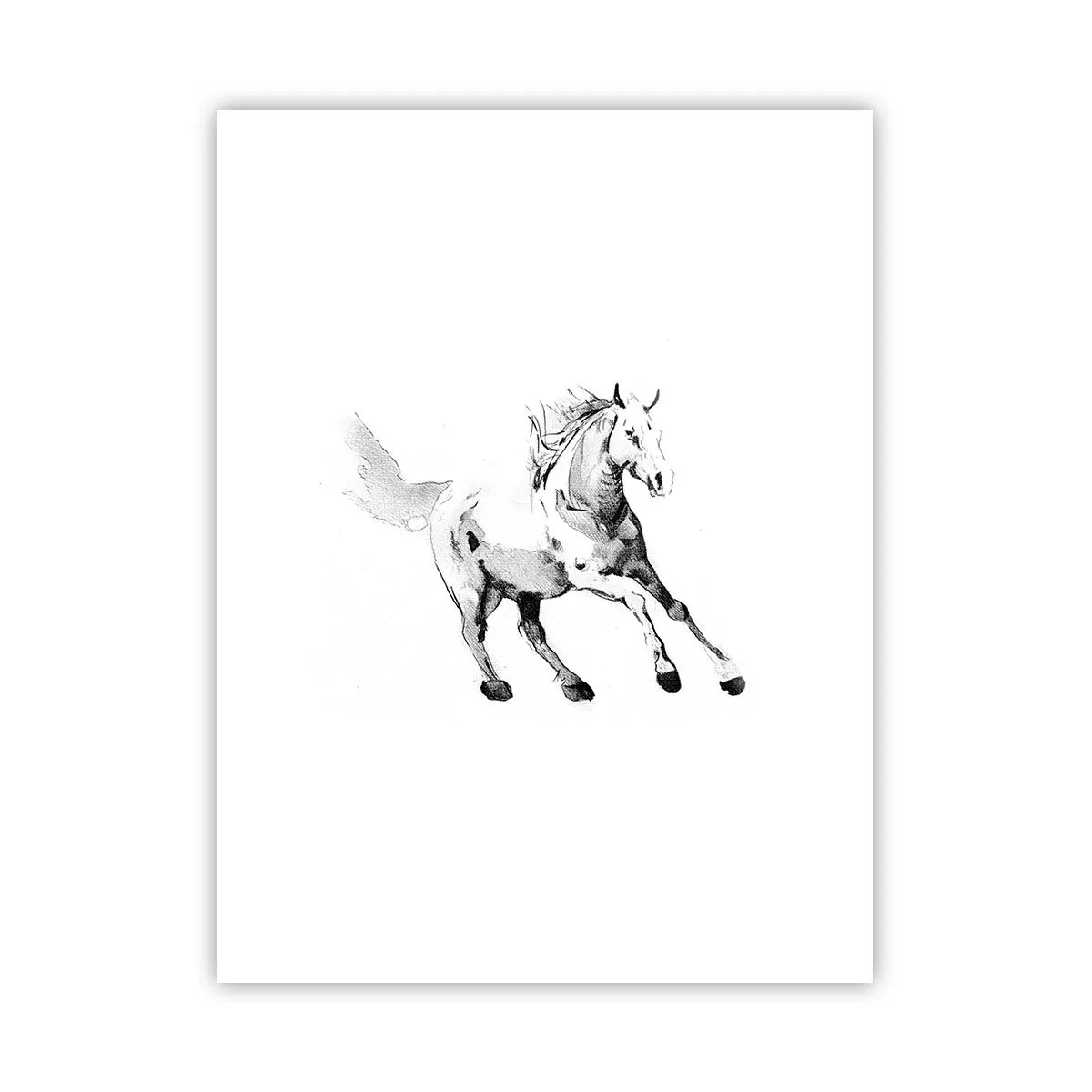Poster - Suflet neîmblânzit - 30x40 cm