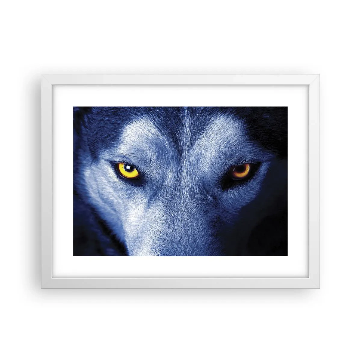 Poster în ramă albă - O privire hipnotizantă - 40x30 cm