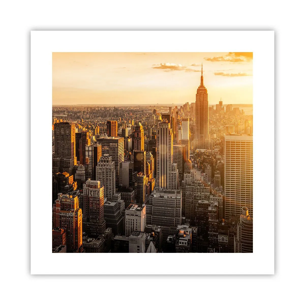 Poster - Crescând la soare - 40x40 cm