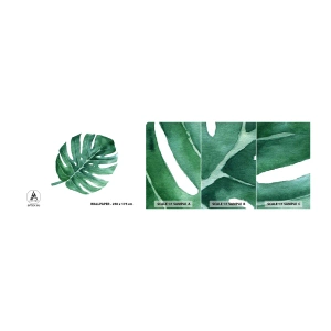 Mostră tapet autocolant Deluxe Sticker - Conceptul verde - Monstera, Frunze, Boho - 100x30 cm