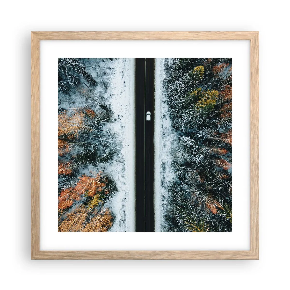 Poster în ramă de stejar deschis - Prin pădurea de iarnă - 40x40 cm