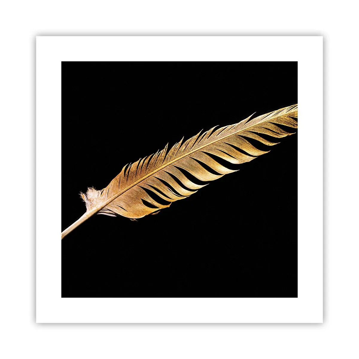 Poster - Pană aurie perfectă - 40x40 cm