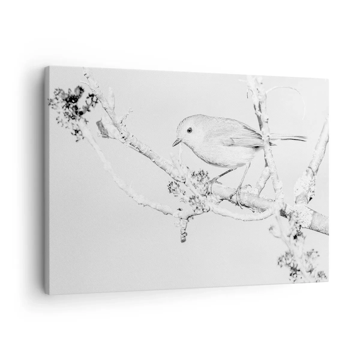 Tablou pe pânză Canvas - Pasăre pe o creangă în alb și negru, cu un stil minimalist - 70x50cm - Dimineață de iarnă - Decorațiune modernă pentru perete pentru living și dormitor ARTTOR