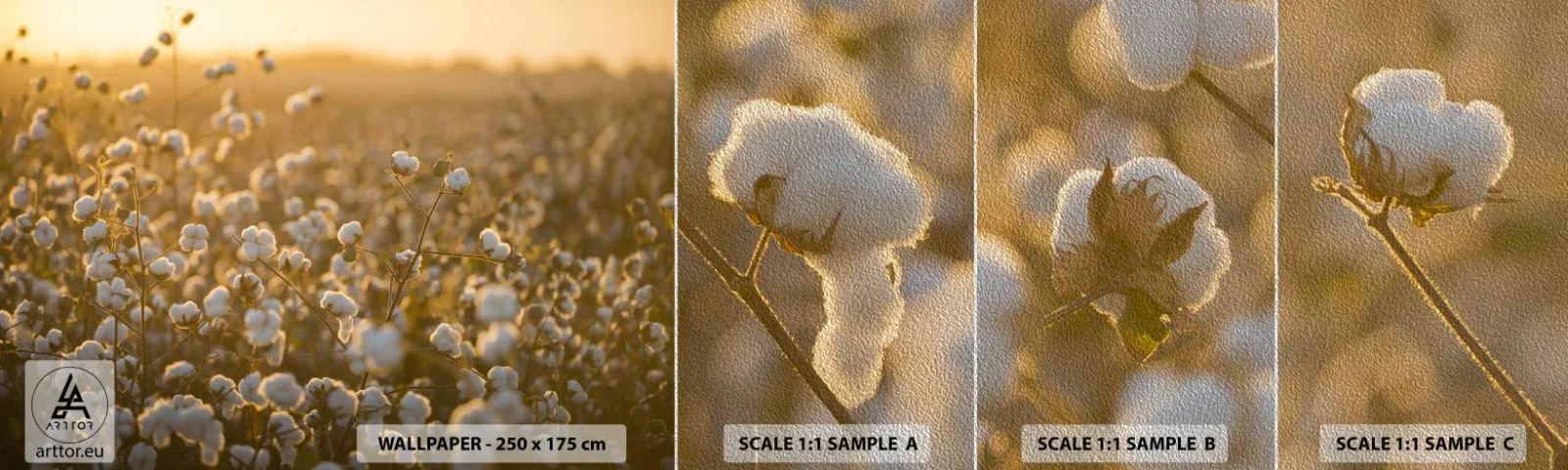Mostră tapet Premium Sand - Câmp pufos - Camp de bumbac, Asia, Natură - 100x30 cm