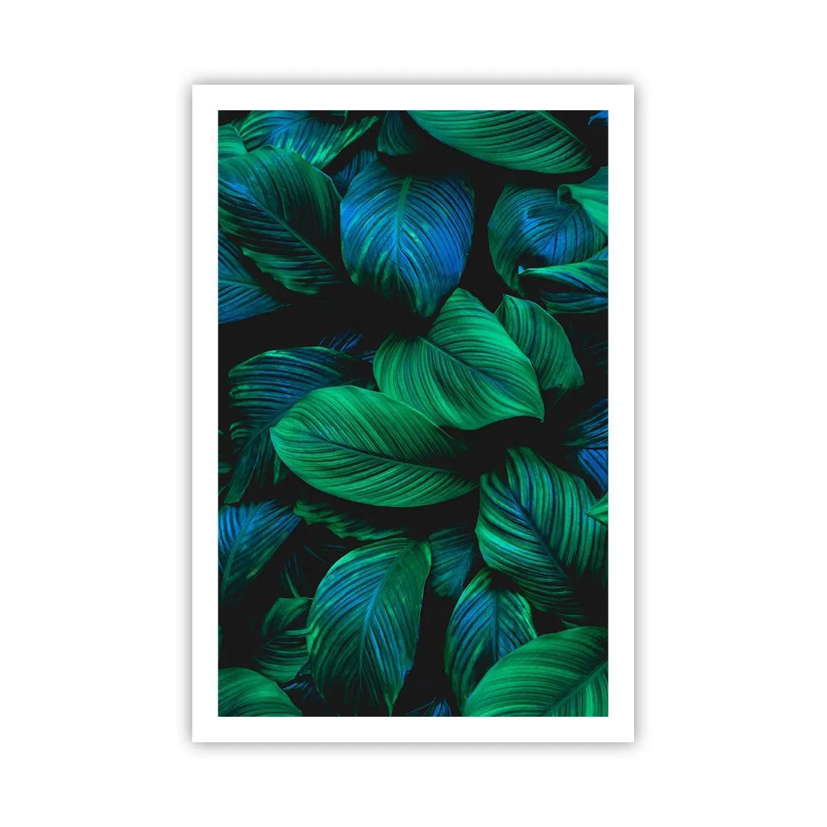 Poster - Traficul verde - 61x91 cm