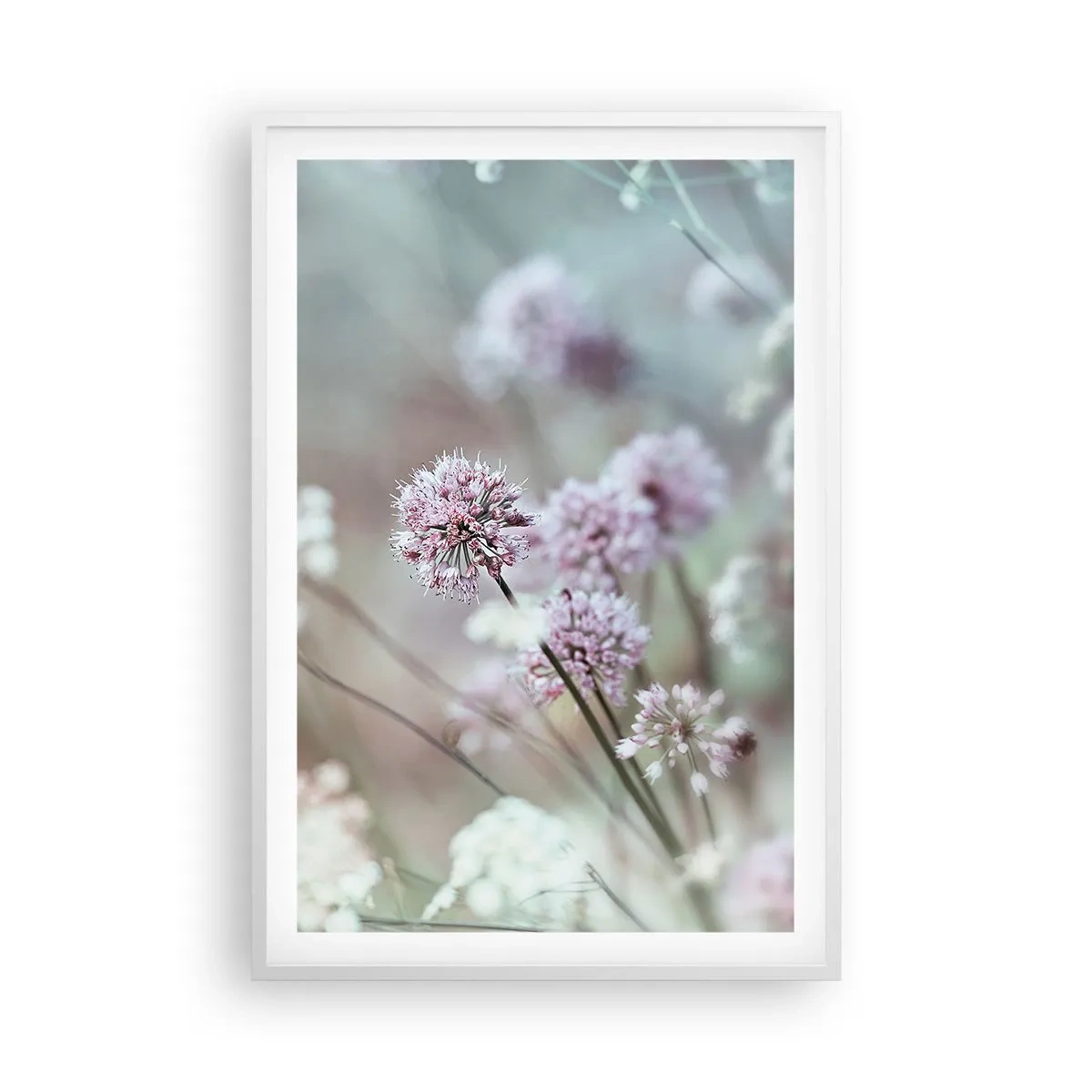 Poster în ramă albă - Ierburi dulci filigranate - 61x91 cm