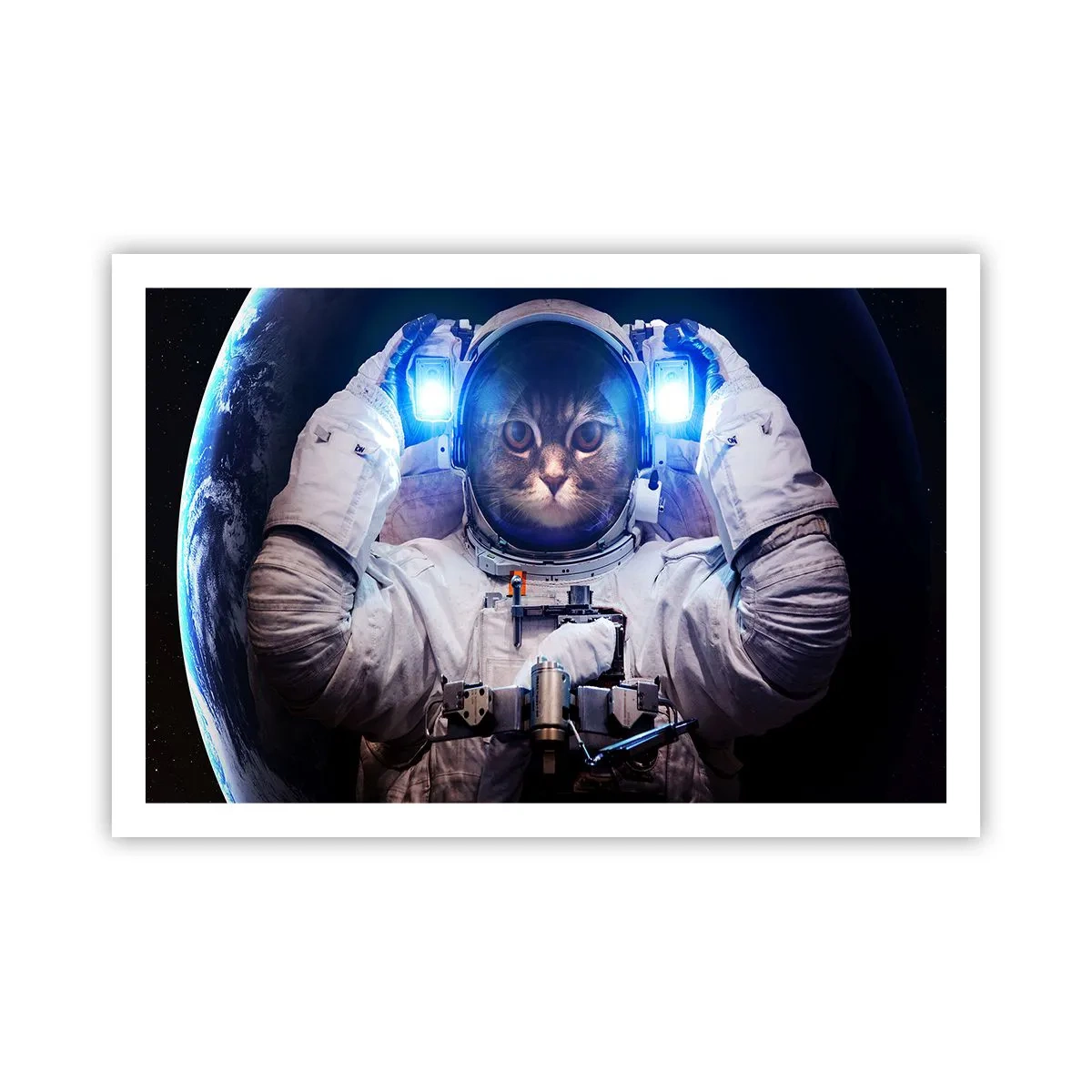 Poster - Houston, aveți o problemă - 91x61 cm