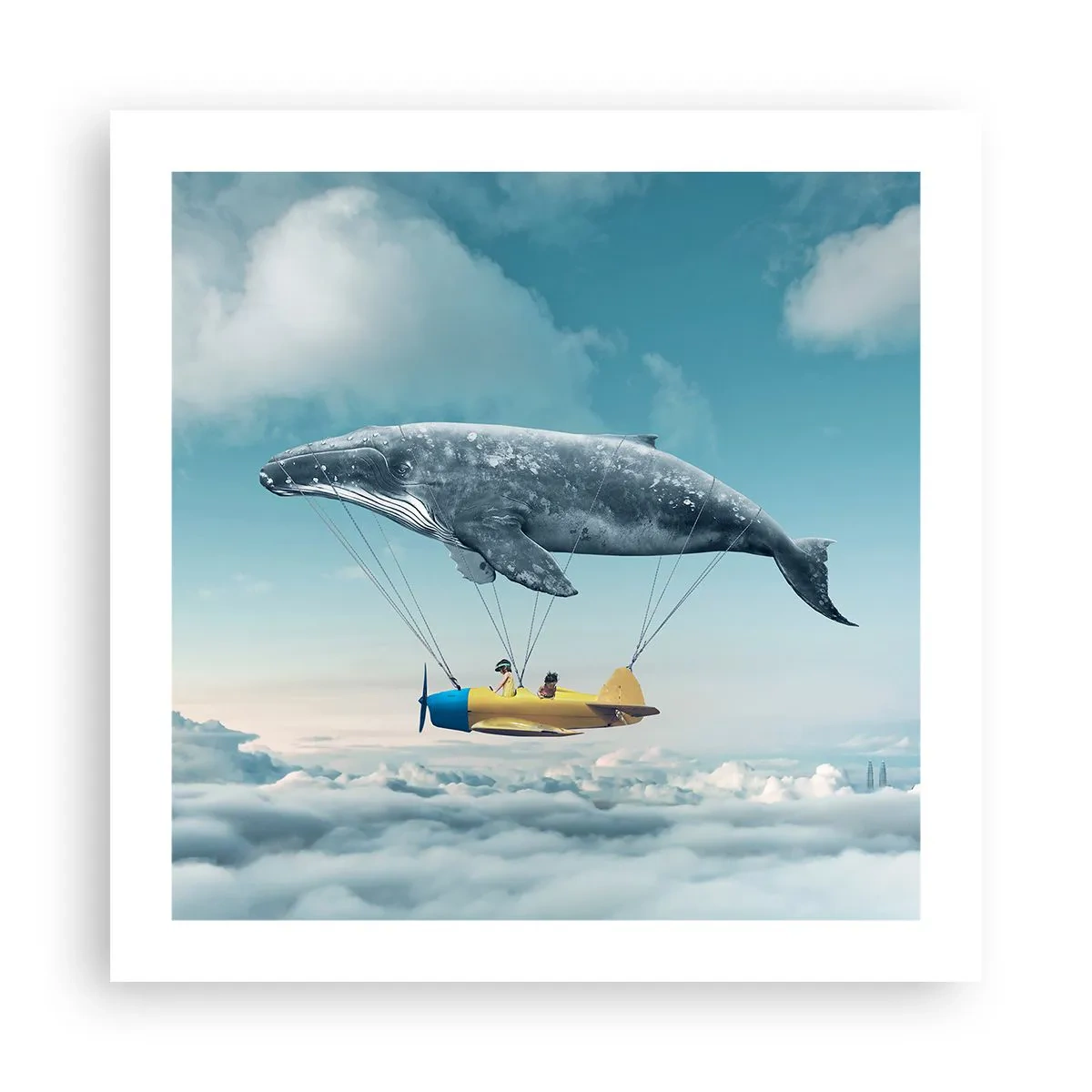 Poster - De ce nu? - 50x50 cm