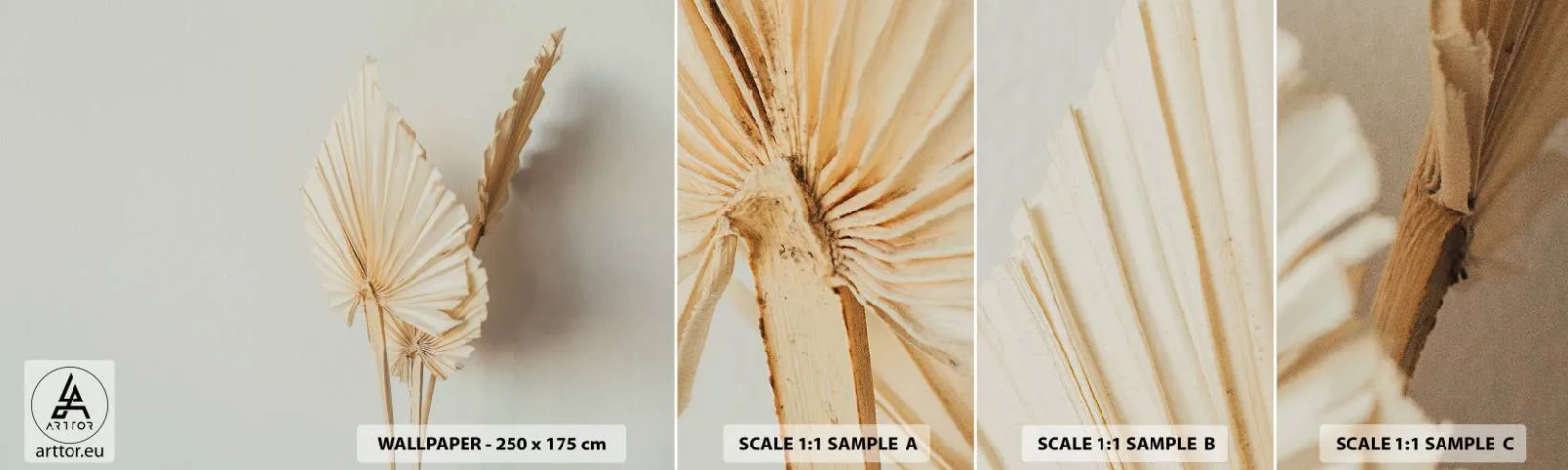 Mostră tapet autocolant Deluxe Sticker - Când este nevoie de ușurare - Luminos, Minimalism, Frunze - 100x30 cm