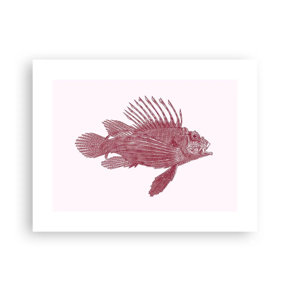 Poster - Un locuitor al apelor exotice - 40x30 cm