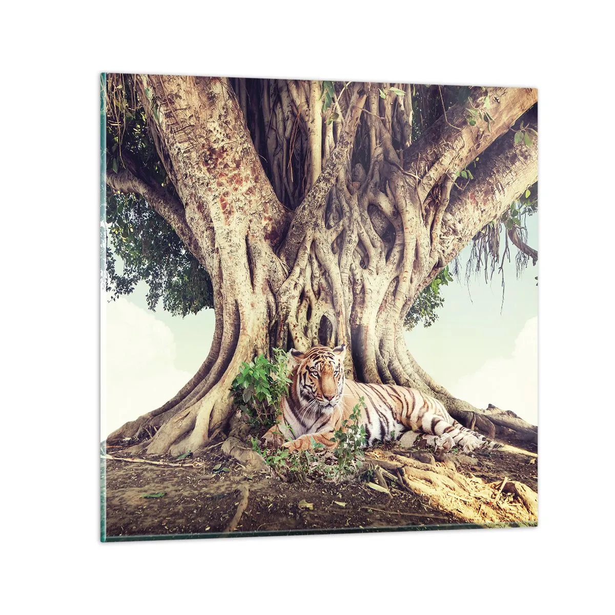 Tablou pe sticlă - O perspectivă din Geneză - 30x30 cm