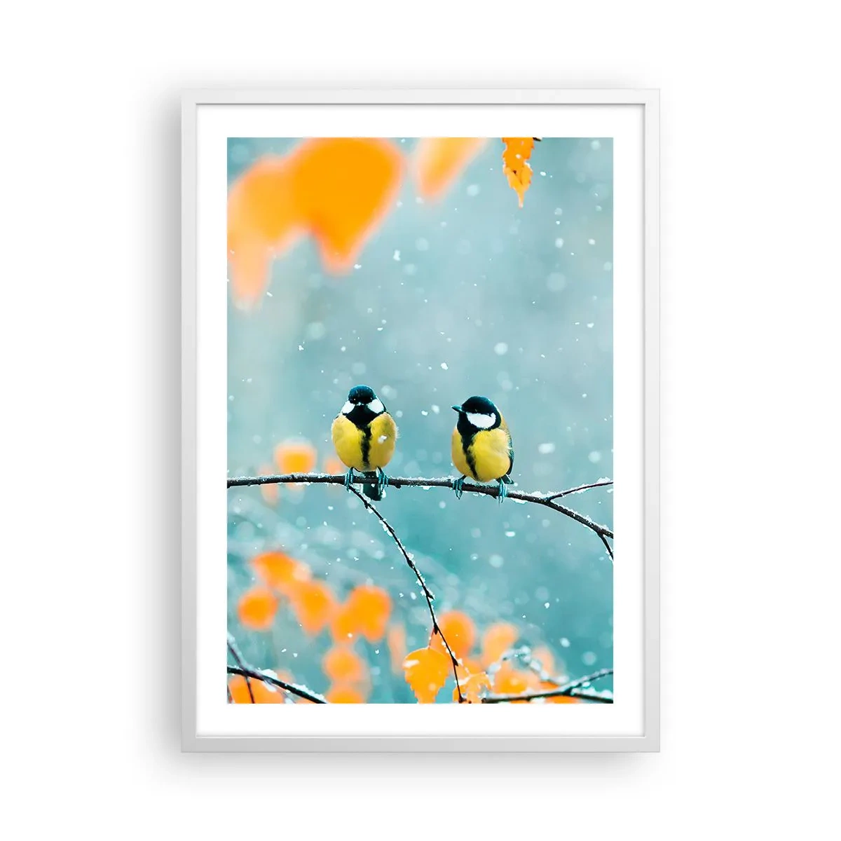 Poster în ramă albă - Bârfele păsărilor - 50x70 cm