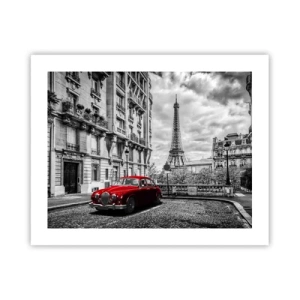 Poster - Prădător în oraș - 50x40 cm