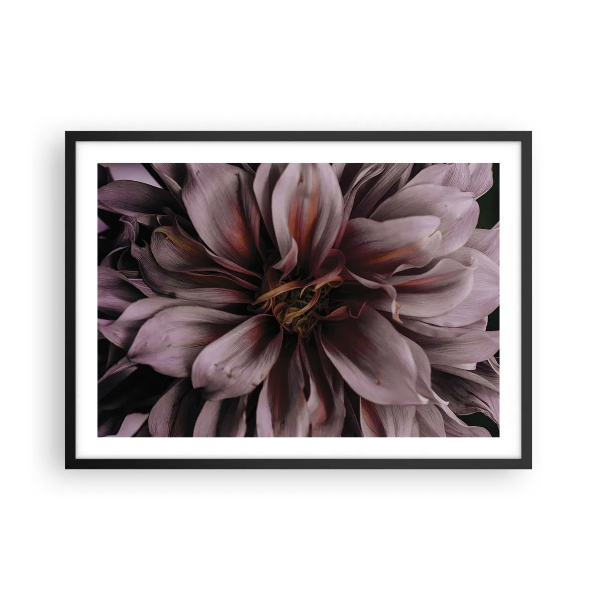 Poster în ramă neagră - Inimă florală - 70x50 cm