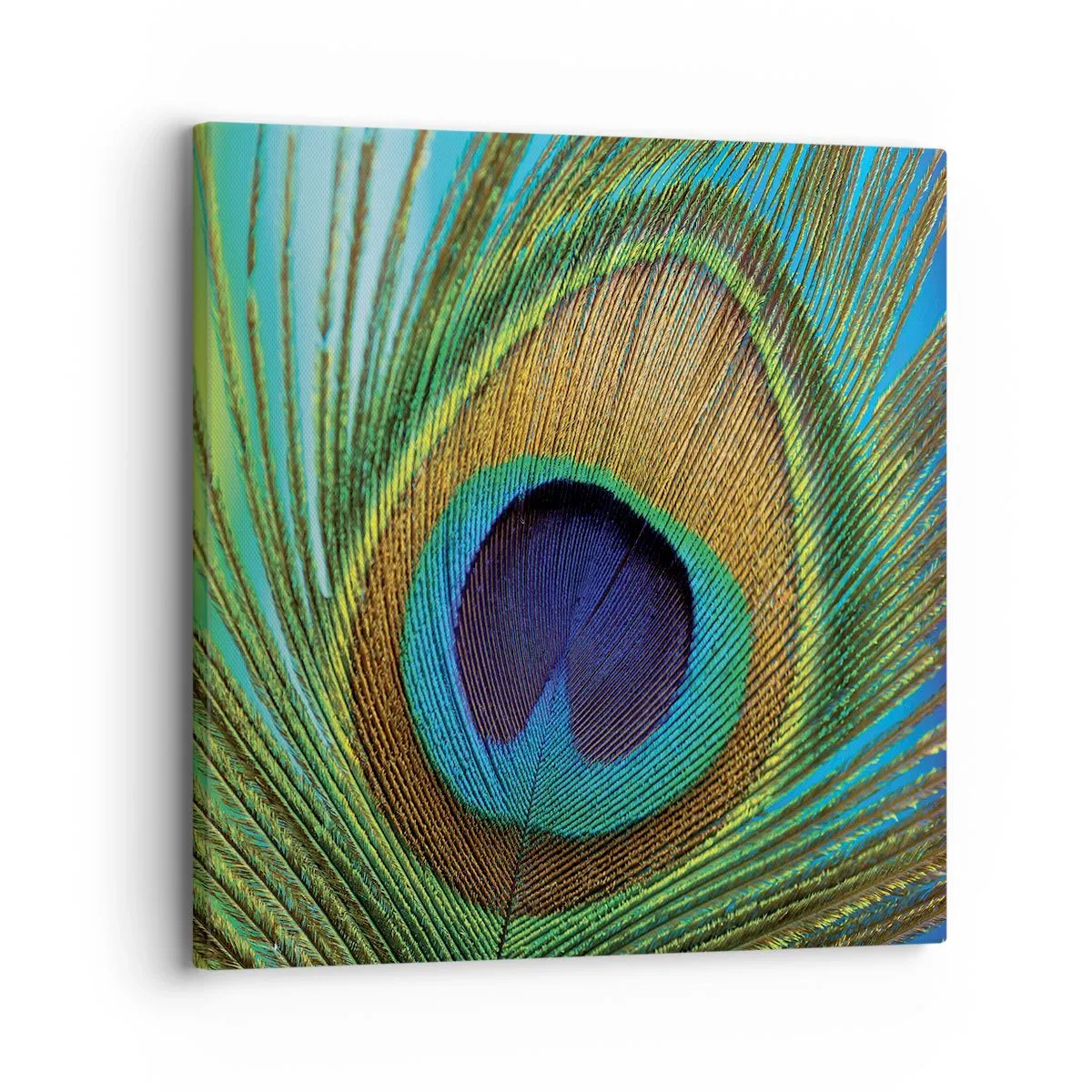 Tablou pe pânză - Ochi în ochi - 30x30 cm