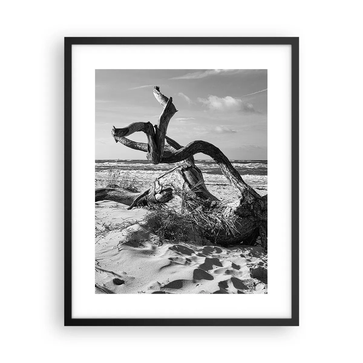 Poster în ramă neagră - Sculptură marină - 40x50 cm