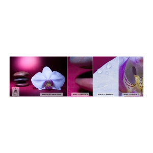 Mostră tapet Premium Canvas - Un studiu al prospețimii în mov - Flori, spa, Pietre - 100x30 cm