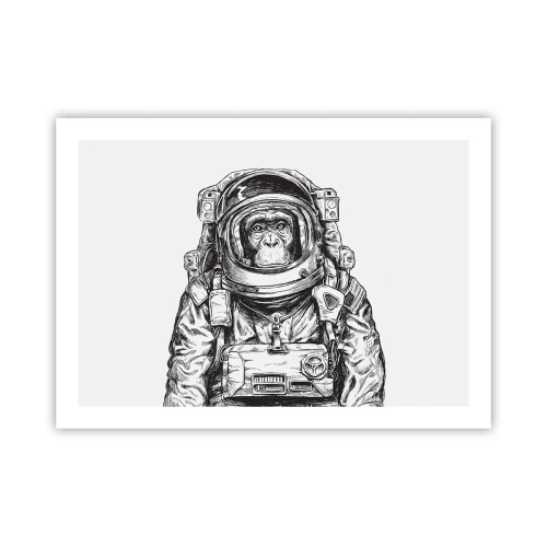 Poster - Evoluție alternativă - 70x50 cm
