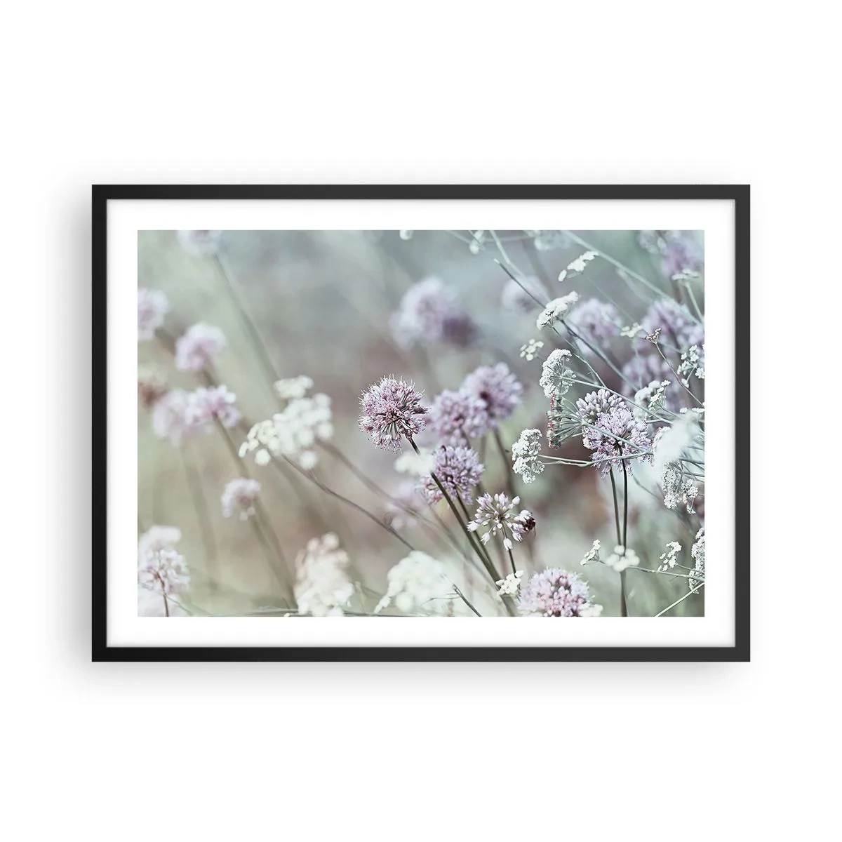 Poster în ramă neagră - Ierburi dulci filigranate - 70x50 cm