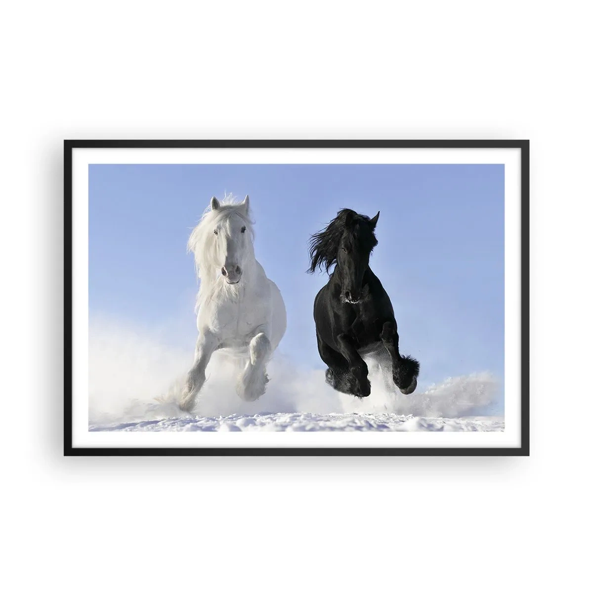 Poster în ramă neagră - Galop de alb și negru - 91x61 cm