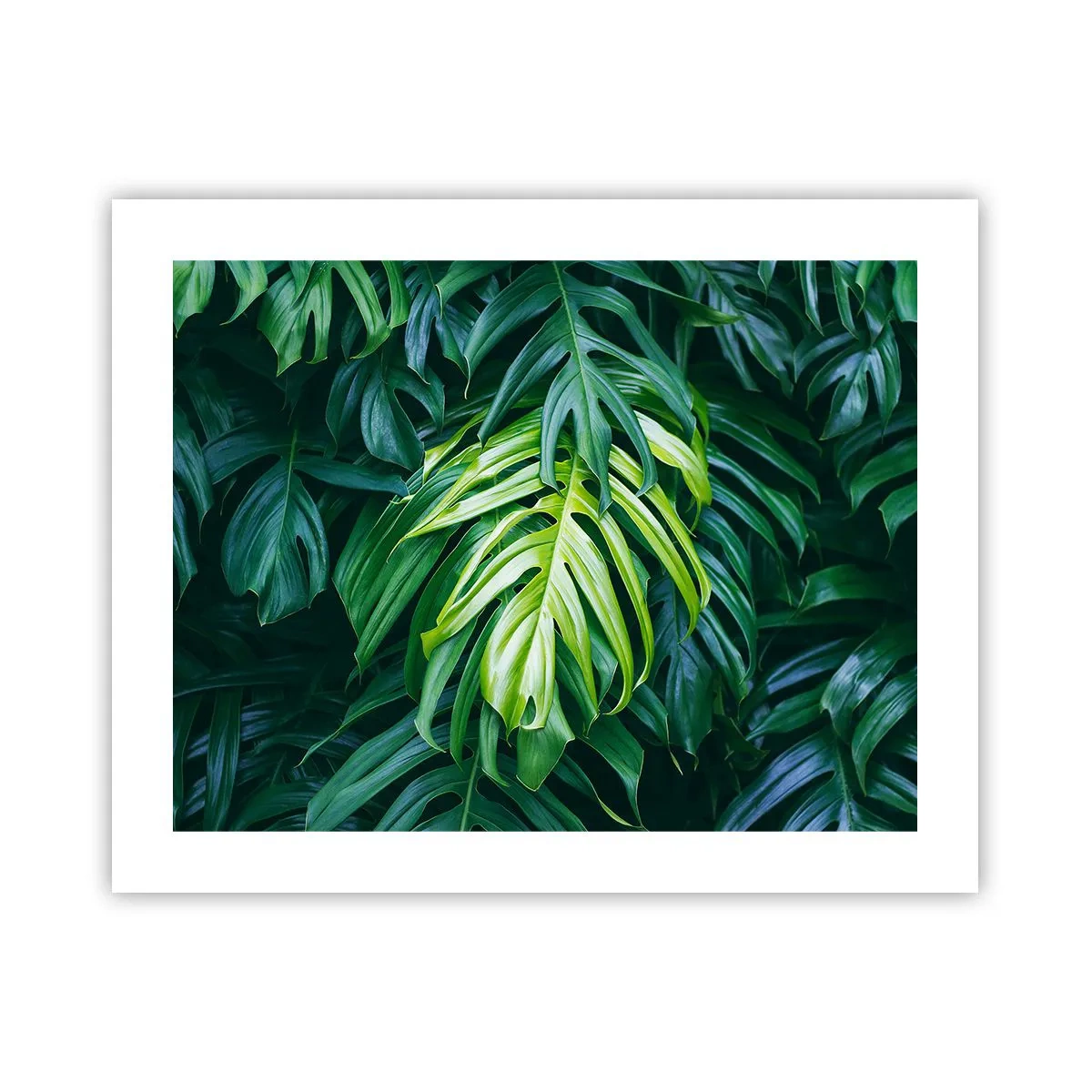 Poster - Scufundă-te în prospețime - 50x40 cm