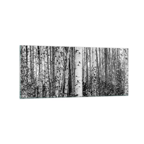 Tablou pe sticlă - Coloane de mesteacăn - 120x50 cm