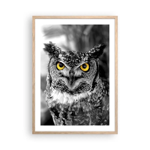 Poster în ramă de stejar deschis - Nimic nu poate fi ascuns - 50x70 cm