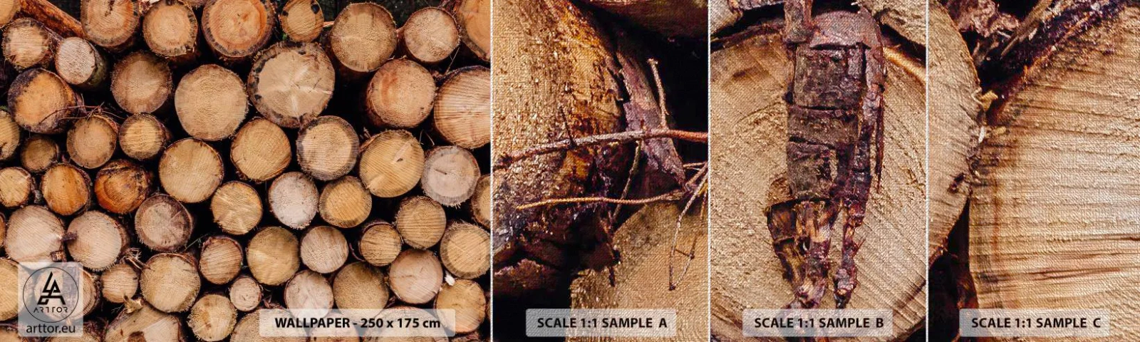 Mostră tapet Premium Canvas - Un nou început - Lemn, Bușteni de lemn, Natură - 100x30 cm