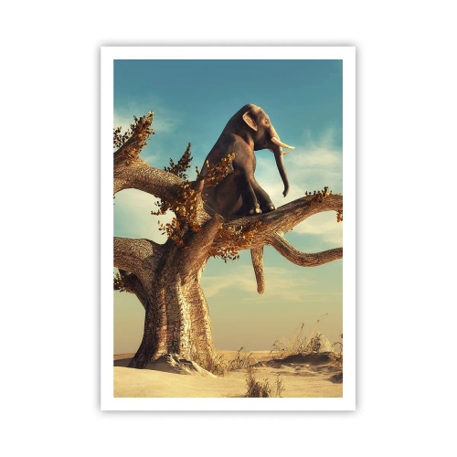 Poster - Un nou punct de vedere - 70x100 cm
