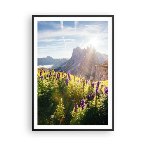 Poster în ramă neagră - Viața secretă a ierburilor - 70x100 cm