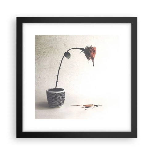 Poster în ramă neagră - Rosa dolorosa - 30x30 cm