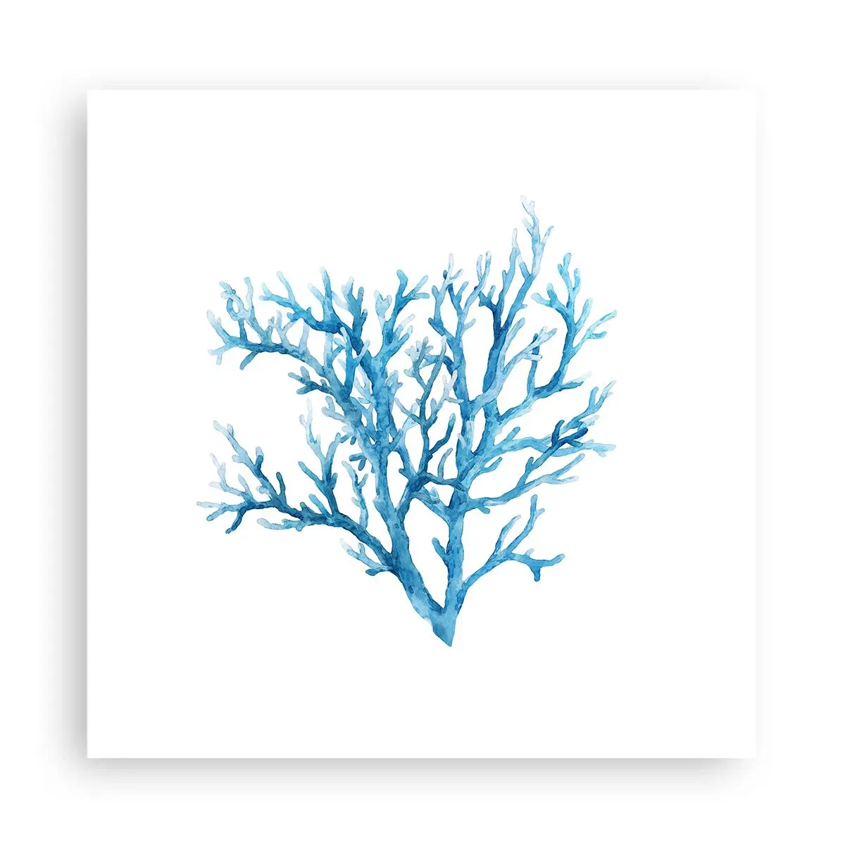 Poster - Filigranul marin - 30x30 cm