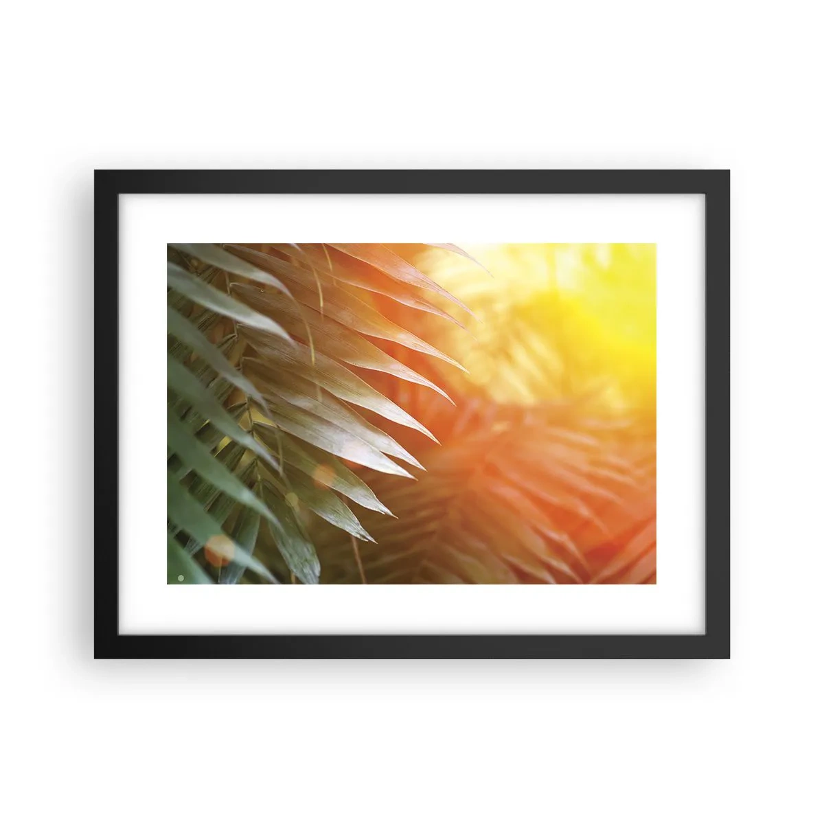 Poster în ramă neagră - Dimineață în junglă - 40x30 cm