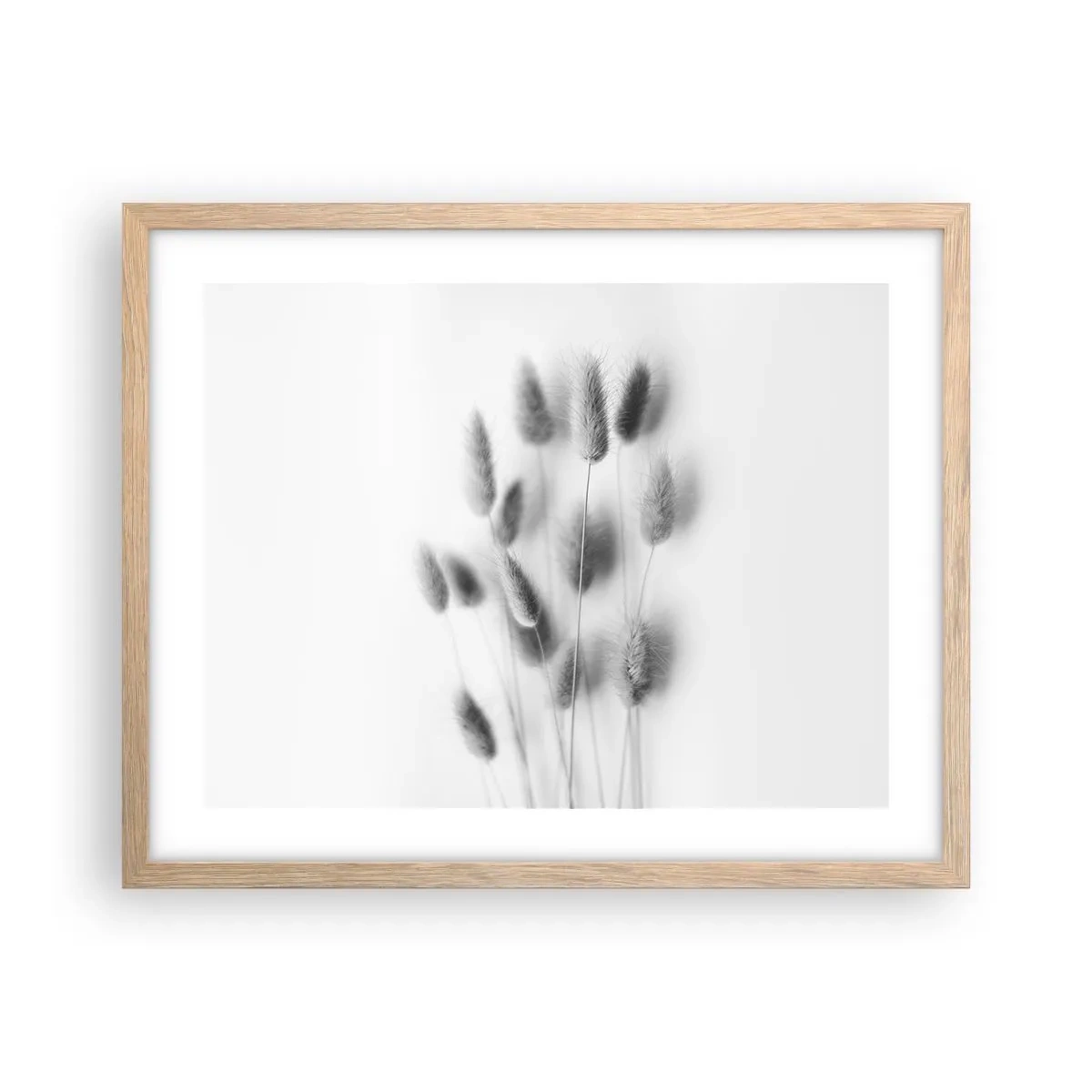 Poster în ramă de stejar deschis - Pufoșenia ierbii - 50x40 cm
