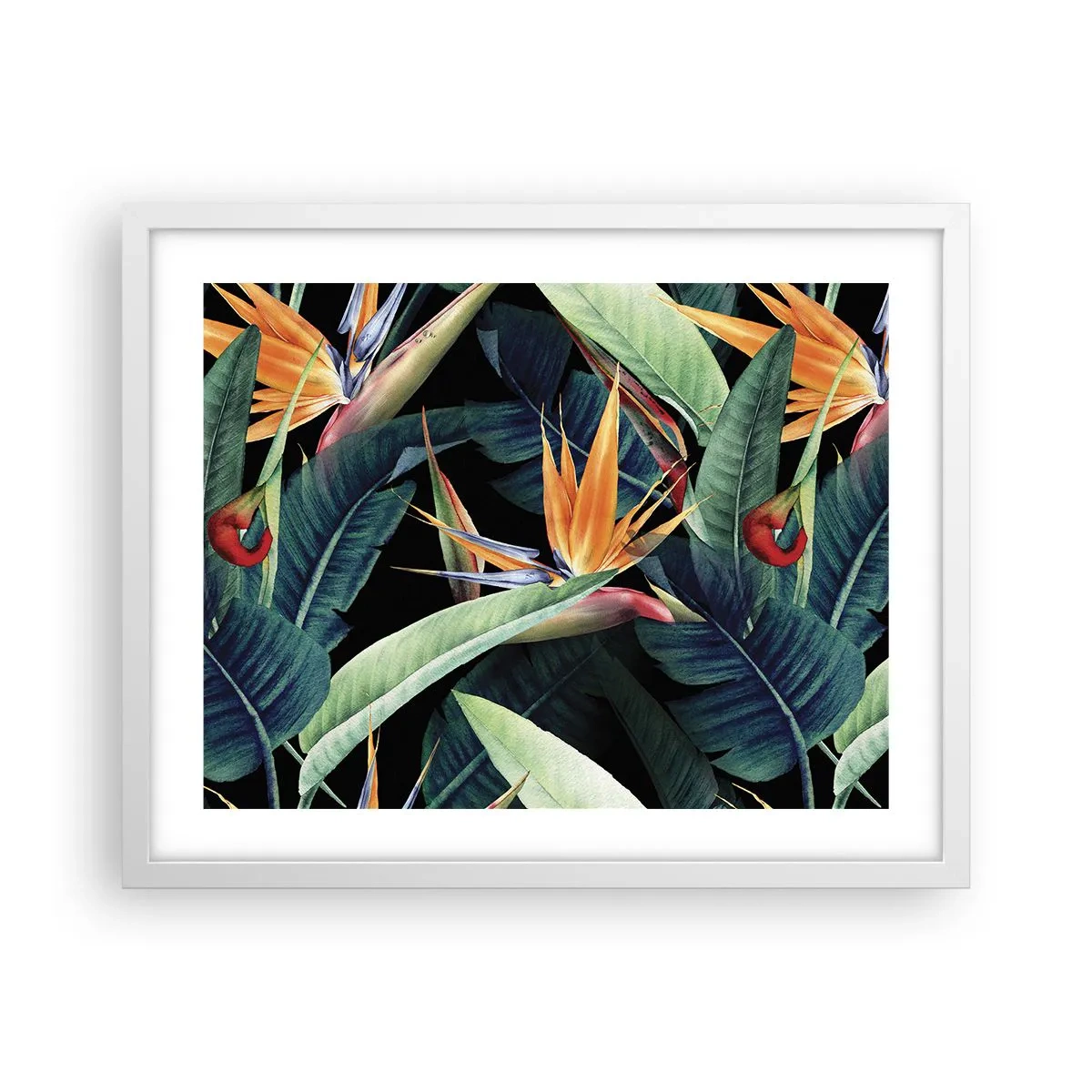 Poster în ramă albă - Florile de flacără ale tropicelor - 50x40 cm