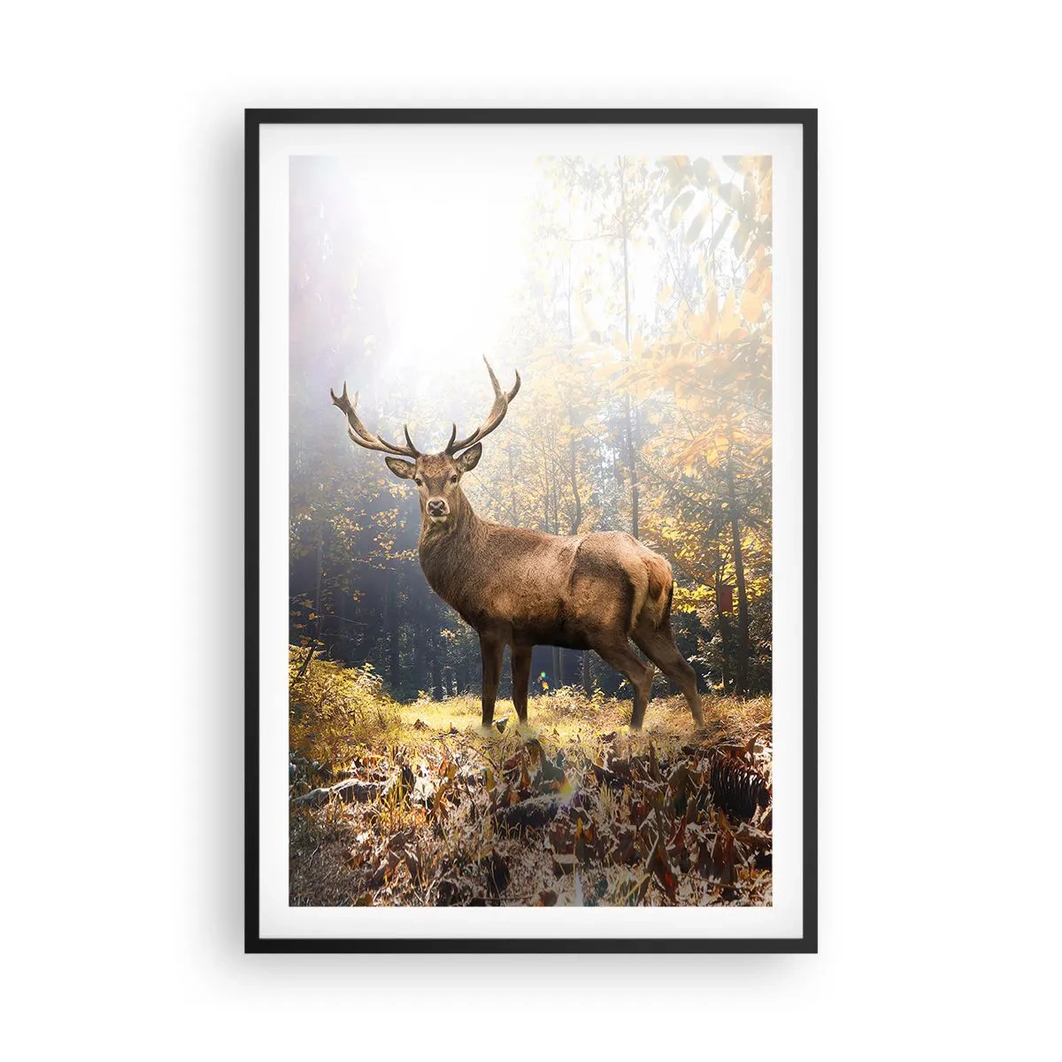 Poster în ramă neagră - Măreție calmă - 61x91 cm