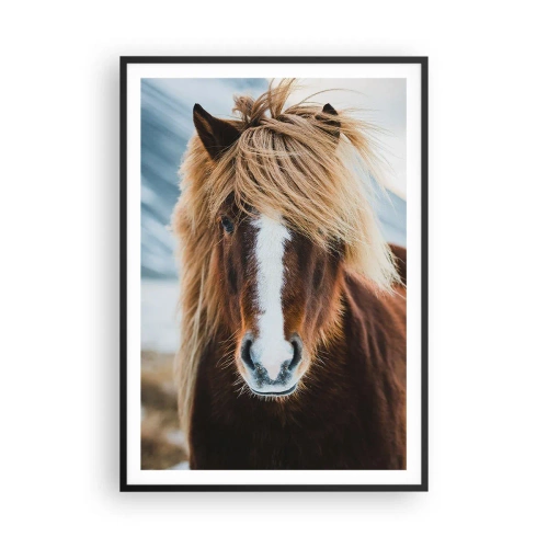 Poster în ramă neagră - Simțiți libertatea? - 70x100 cm