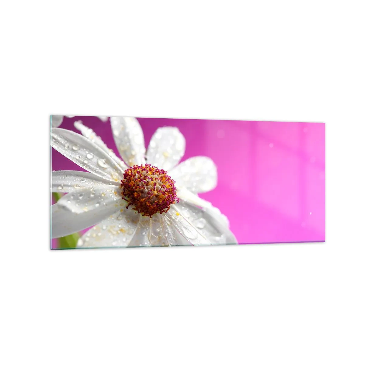 Tablou pe sticlă - Modestă în frumusețea ei - 120x50 cm