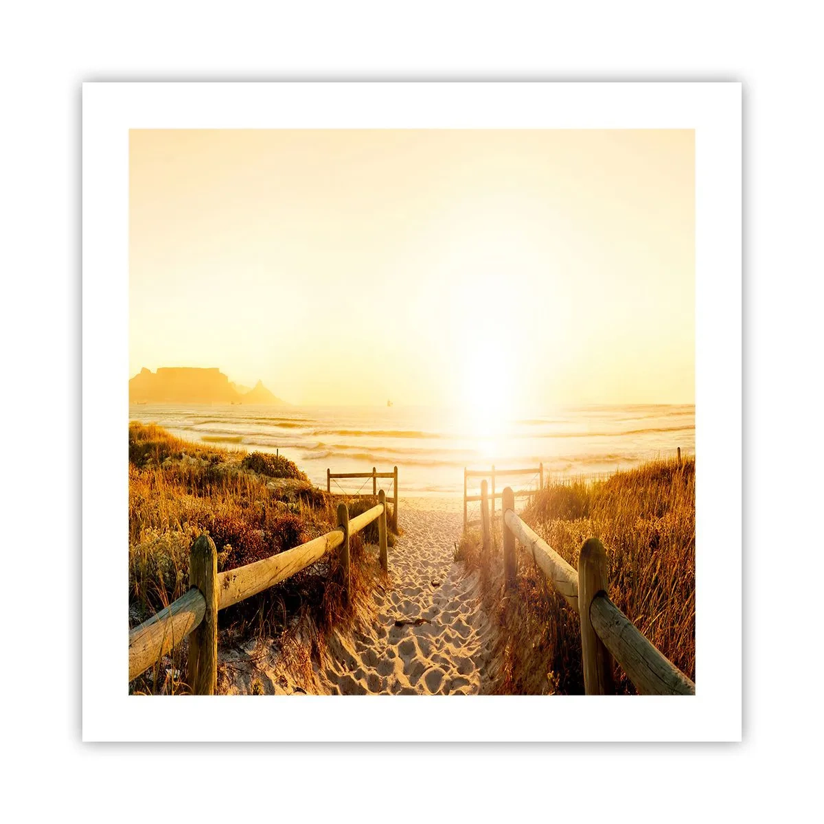 Poster - Prin dune spre soare - 50x50 cm