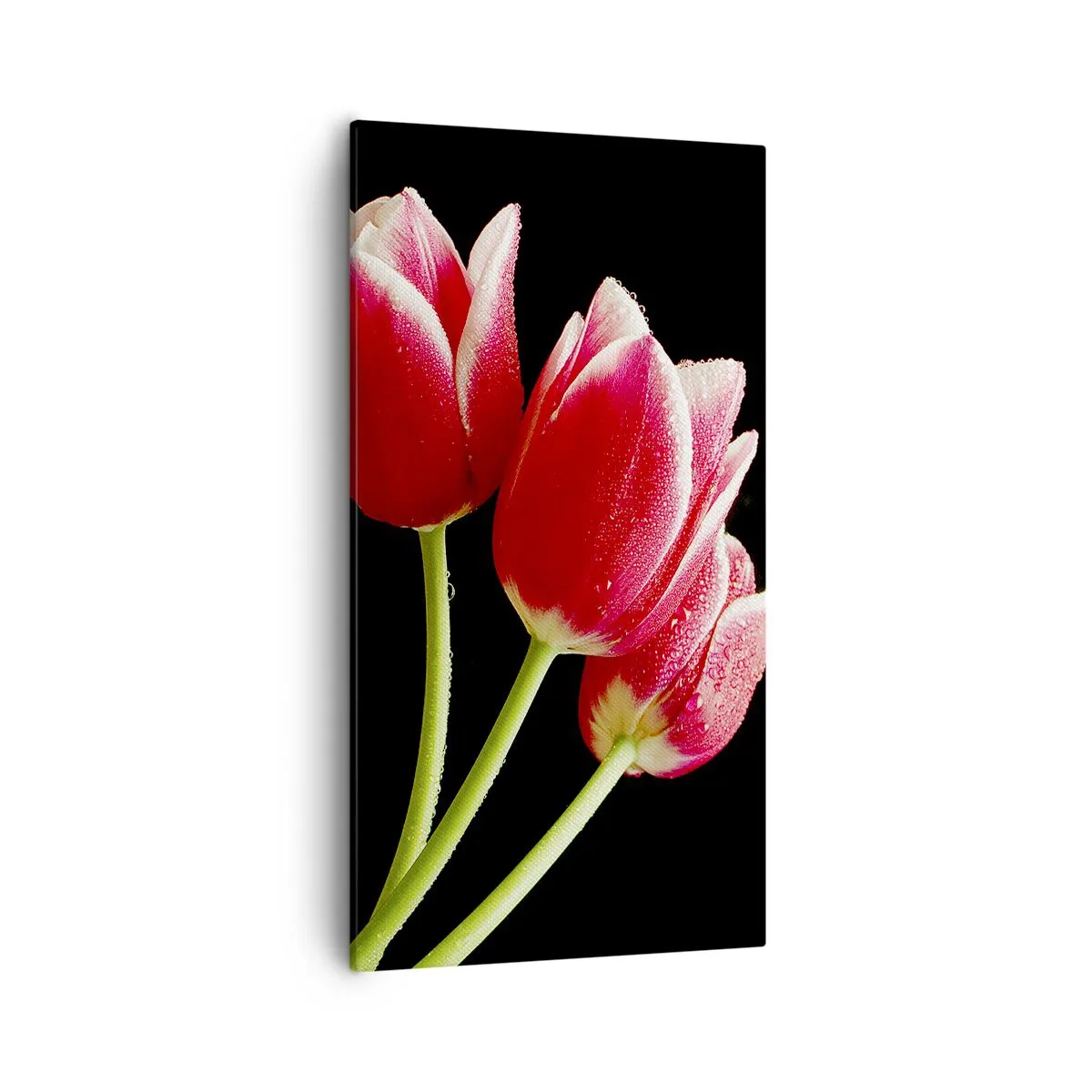 Tablou pe pânză - Promisiunea unei iubiri pure - 55x100 cm