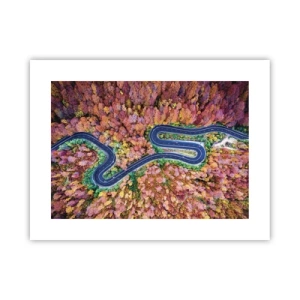 Poster - Un drum șerpuit prin pădure - 40x30 cm