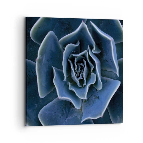 Tablou pe pânză - Floare de deșert - 70x70 cm